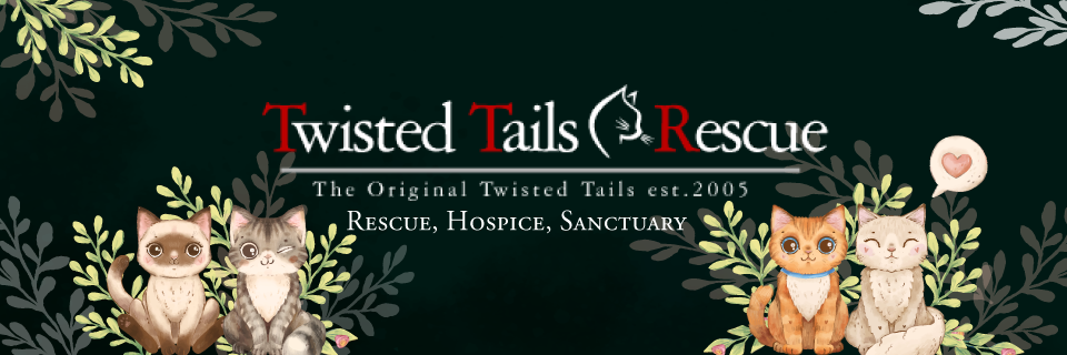 Twisted Tails Cat Rescue